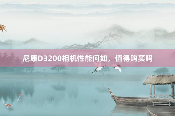 尼康D3200相机性能何如，值得购买吗