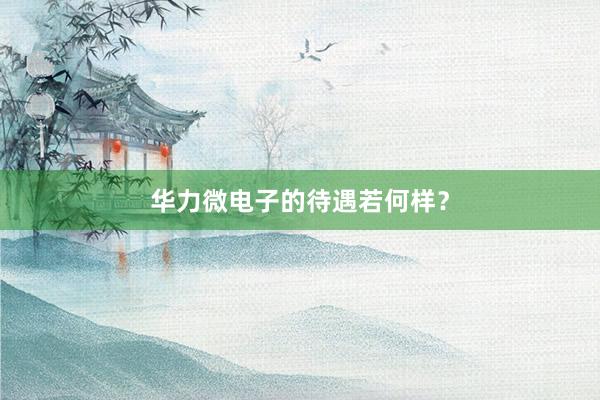 华力微电子的待遇若何样？